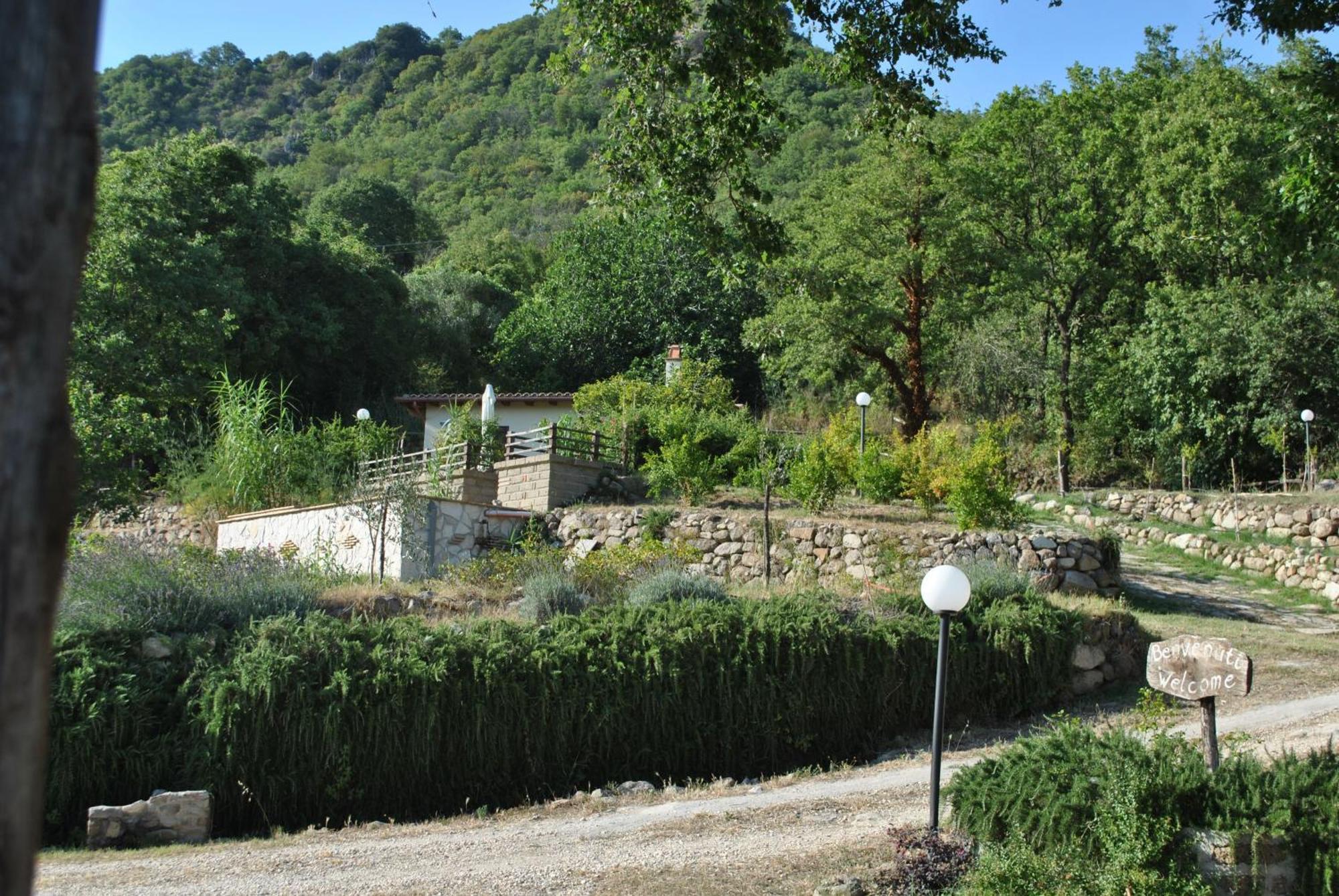 Azienda Agricola Biologica La Cardellina Tolfa Екстер'єр фото